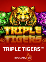 Triple Tigers Game Terbaru untuk Android dan iOS — ikon game